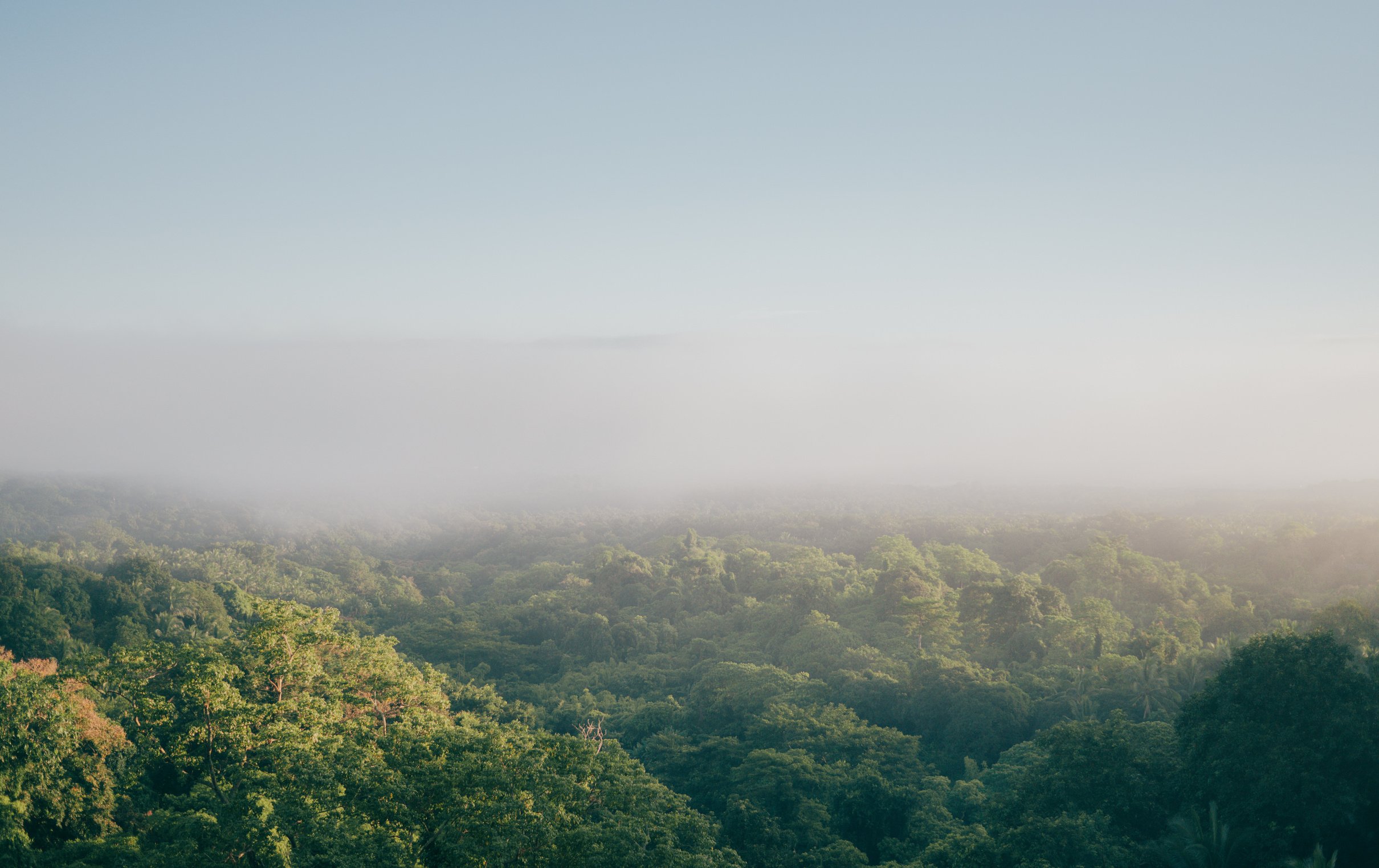 Foggy Mountain Landscape